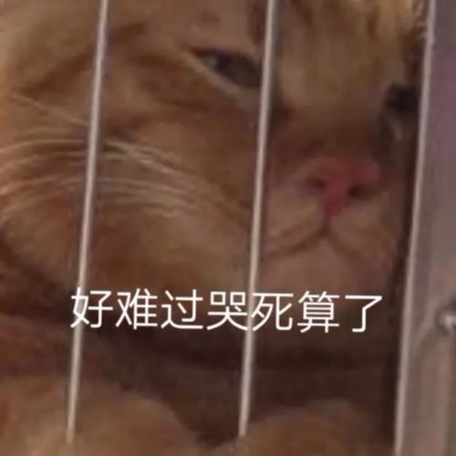 死男人表情包难熬