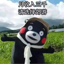 宿伞之魂沙雕表情包