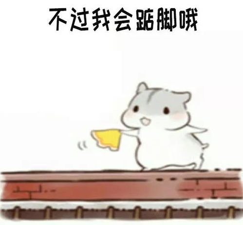 仓鼠打电话表情包你先别挂电话啦