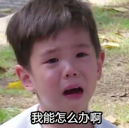 尚雯婕怼自家团队买水军明星亲自开撕到底是耿直还是炒作