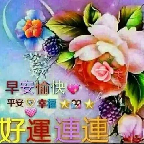 中老年表情包早上好,送你一朵玫瑰花