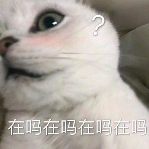 幽默笑话小广告都是我亲自贴上的,后面藏着我私房钱