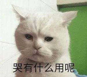面试遇暴乱实习撞疫情,这个港大学姐的citi路太坎坷