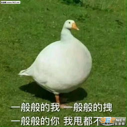enjoy大鹅表情包图片要亲亲要抱抱要举高高表情包图片下载乐游网游戏下载