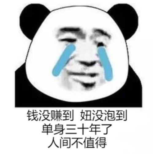 表情包不敢说我怕你打我