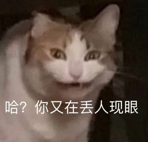 表情包聊天必备且无敌,请拿走