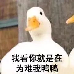 从窦唯到李现,电动车到底做错了什么
