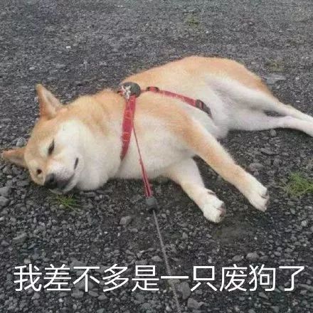 北京城冷气冷风免费大放送10月的气温到底有多变态