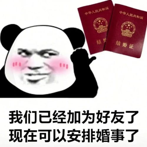 幽默搞笑表情包别说了,小肥猪