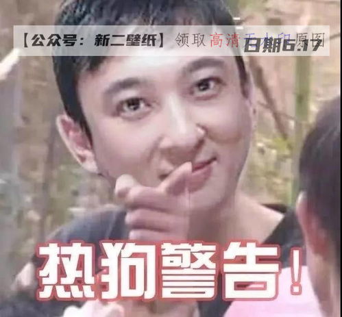找不到你做人的证据表情包王思聪孙一宁聊天记录