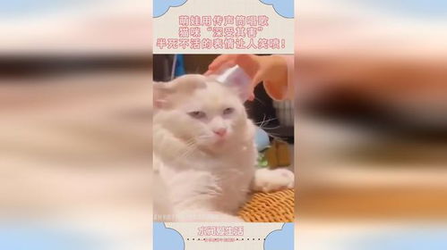 萌娃用传声筒唱歌,猫咪深受其害,半死不活的表情让人笑喷