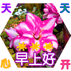 2021最新免打字可以聊天冬天早安问候动态表情图片创意好看的早上好问候动画图片表情