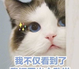 朱一龙和胡军的火锅之旅被私生偷拍小笼包我们陪吃是专业的