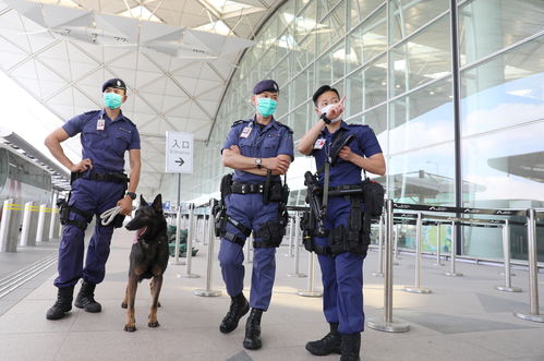 看过了香港警队宣传片守城后,你对港警的几支精英部队了解吗