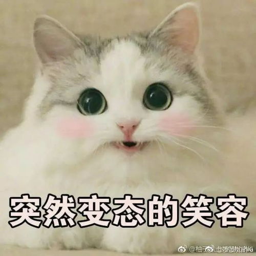 语音红包那点事儿