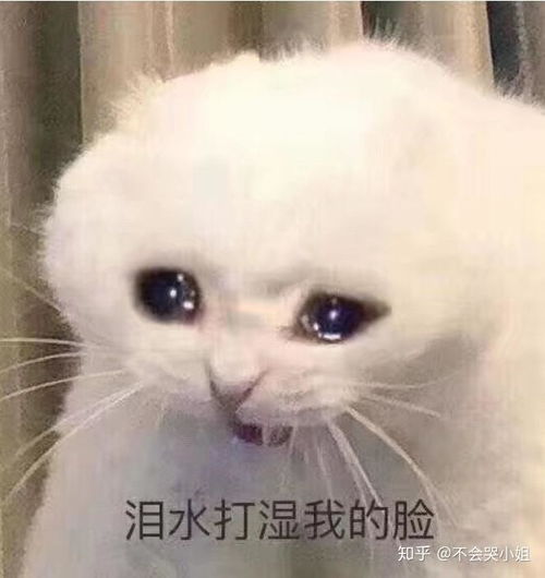 发红包表情包动态头像楠楠
