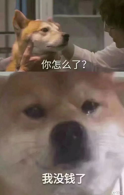 收红包表情包太客气了红包