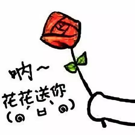 想要年花开得更艳更久,这条微信你一定要看