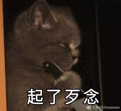 是时候让你们见识一下join的神秘力量了