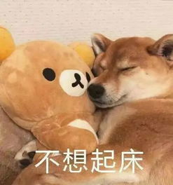 起床了gif表情包赖床