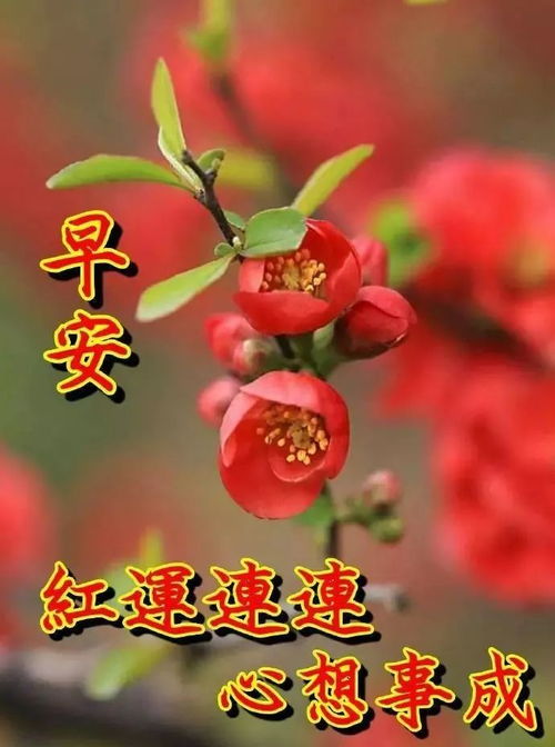 6月17号最新版早上好表情动态问候语最漂亮早上好动图带字图片