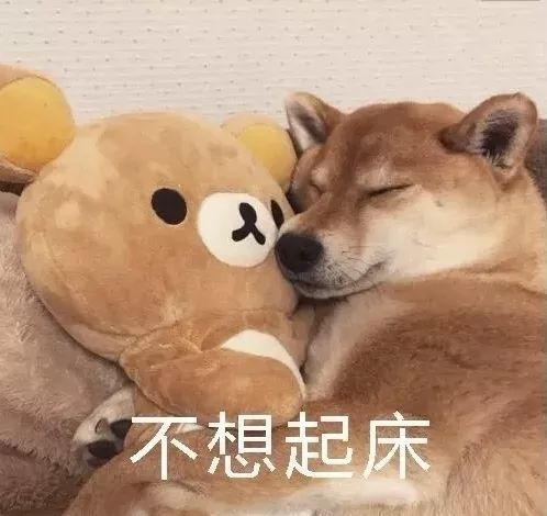 伸伸懒腰,努力起床