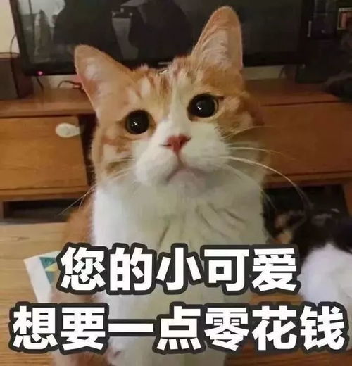 6天后东莞人常用的这个微信功能开始收费,还有5个坏消息