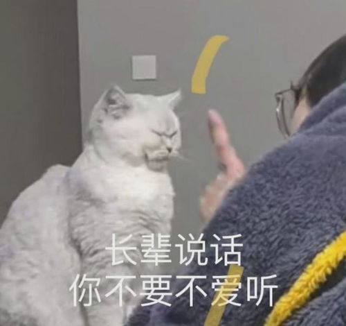 不容错过的宝藏表情包