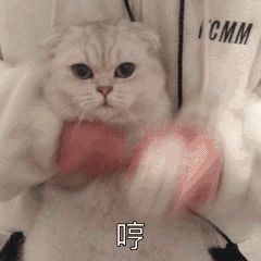 ftl潜规则调优,才是算法精华