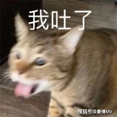 斗图怼人的群聊表情包我劝你谨言慎行斗图表情合集
