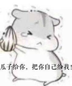 要仓鼠掉瓜子的表情