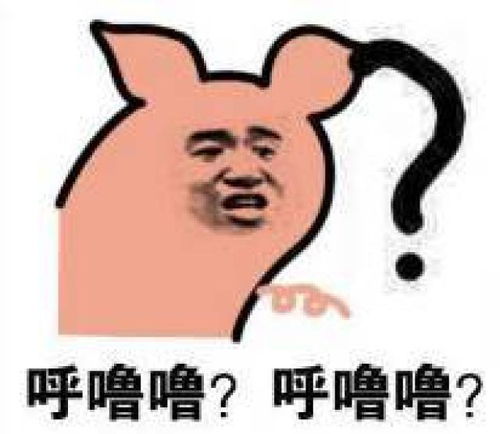 动车票可以选座了终于能和喜欢的人坐一起了