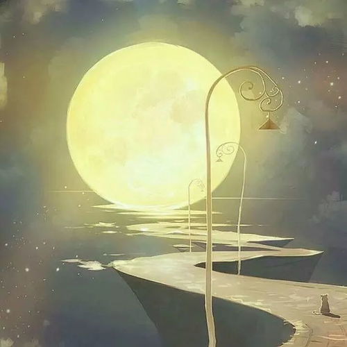 背景图十五赏月啦