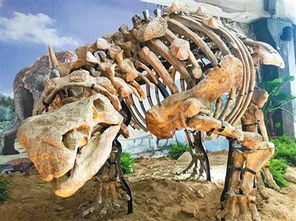 巨型恐龙化石展登陆西安