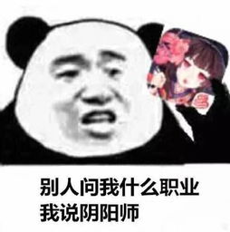 聊会天吗表情包表情