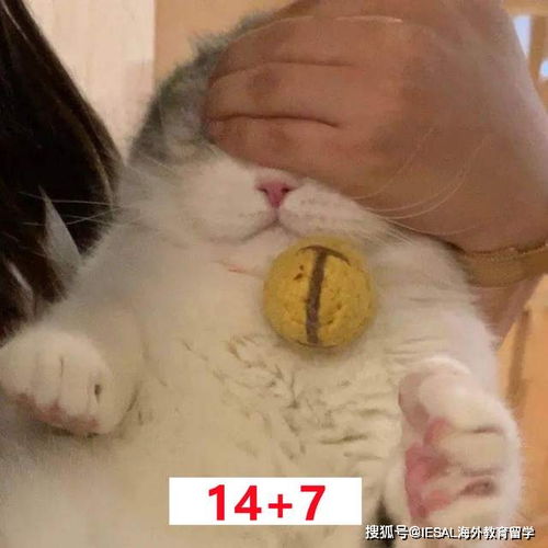 疫情之下,香港疯狂涨薪的6个行业