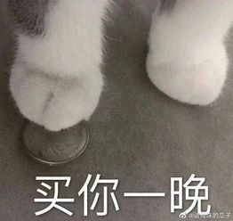 情伤后瘦成郑爽2.0的乔欣,脸怎么还是那么大
