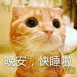 天天表情秀你们的寒假其实是这样过的