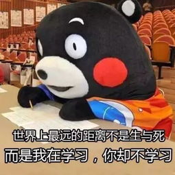 你以为喷了高分喷雾就可以裸考期末了