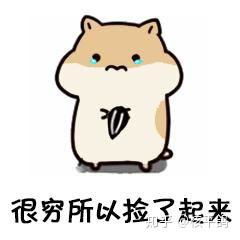 可爱颜文字小表情包表情包