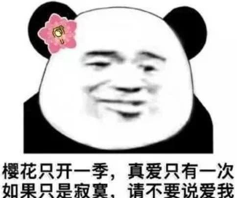 熊猫头撩人专用情话躲得过初一,躲不过你