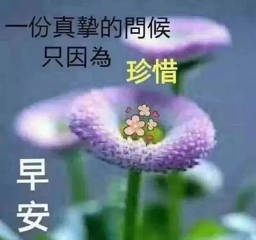 2020最新鼠年早安祝福语大全,朋友圈最新微信表情句子