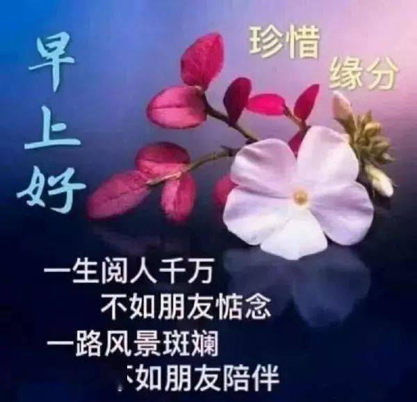 微信早晨送朋友的阳光祝福语,暖心的早上好唯美图片带字