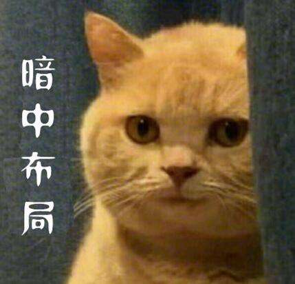 简单表情包图片暗中观察