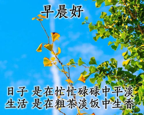7张最美风景早上好图片带字带祝福语好看的早安问候祝福图片带字温馨