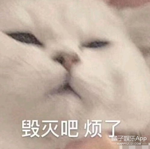 怎么都在教她做事