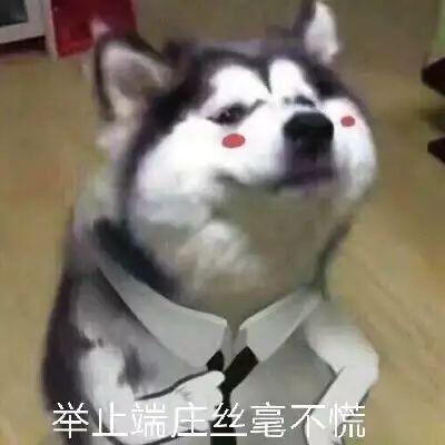 你瞅啥图片搞笑表情包单身