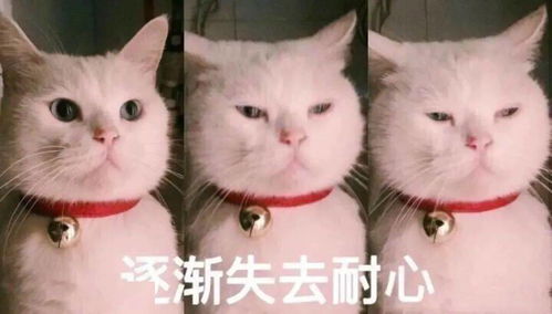 大学教师被免职,就因为频繁使用问号