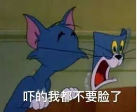 沈城大风再次崛起,热风模式注意补水