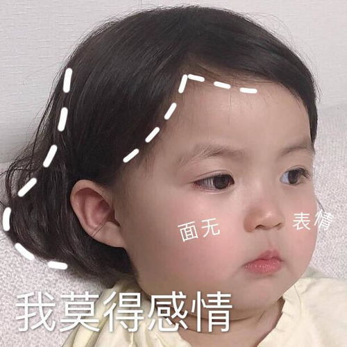 表情包你脑子进水了吧
